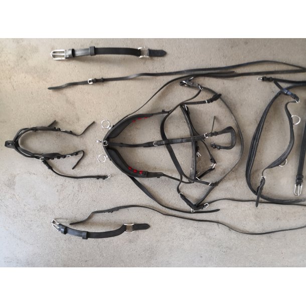 Komplet k�resele str. Shetl�nder