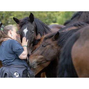 Foredrag:  Hestes sind og adf�rd m/Christina Medom