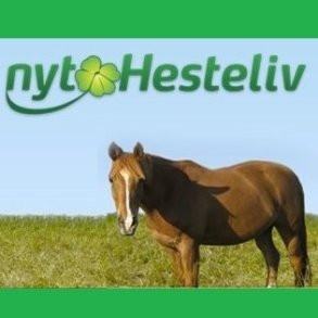 Nyt Hestelivs produkter
