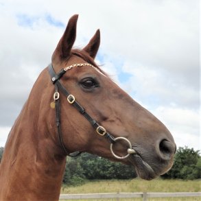 Trenser og tilbehør