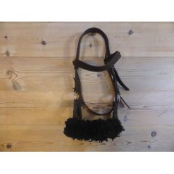 Sidepull, str Pony-Cob