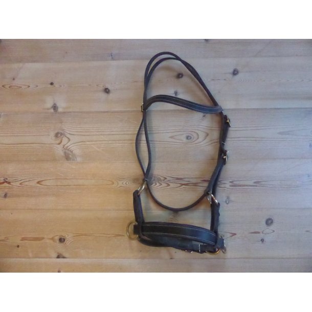 Sidepull, str Pony