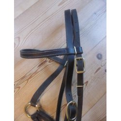 Sidepull, str Pony
