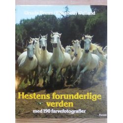 BOG: Hestens forunderlige verden