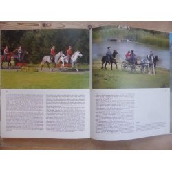 BOG: Hestens forunderlige verden