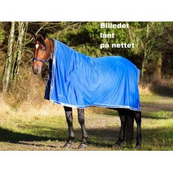 Cooler, str hest, NYT