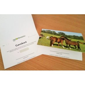 Gavekort - Medlem 1 person