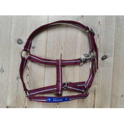 F�lgrime, str Hest