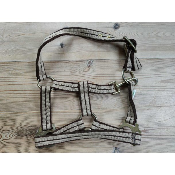 F�lgrime, str Hest, NY