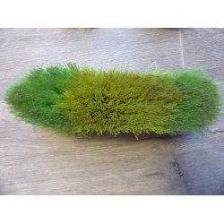 Gr�nt strigles�t, 5 dele