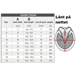 Equine Fusion hovsko, str 13, 1 stk