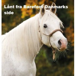 Barefoot BeGentle rebgrime-sidepull, str L, NY