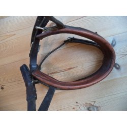 Cavalie trense, brun, str Full