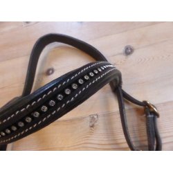 RC showtrense, str Cob