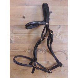 RC showtrense, str Cob