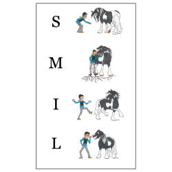 Bog: Lr med Braveheart  SMIL Horsemanship af Camilla Jacobs